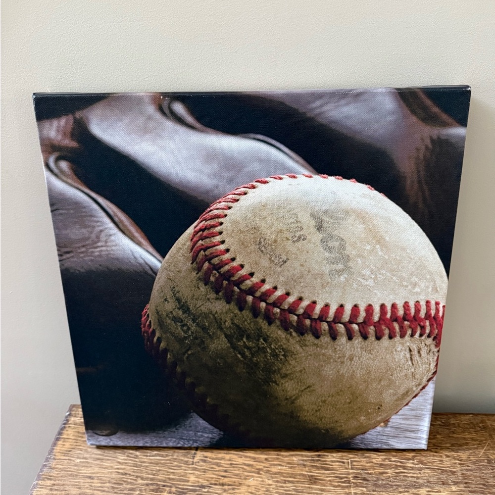 Design Ideas Baseball Canvas Wall Art 16x16 NEW NWT